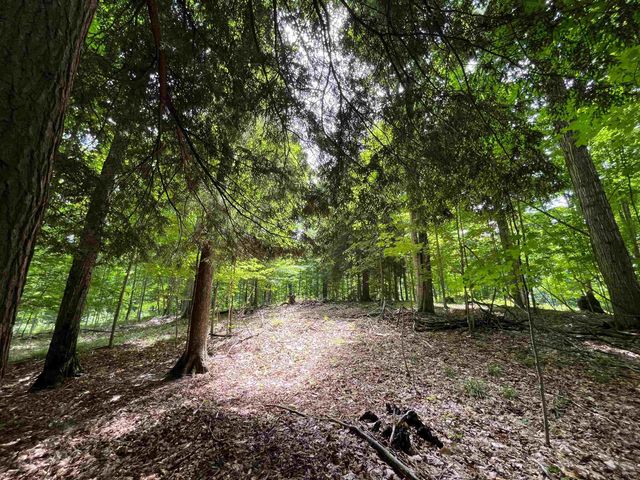 E Fouch Road, Traverse City, MI 49684