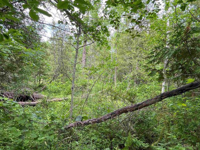 E Fouch Road, Traverse City, MI 49684