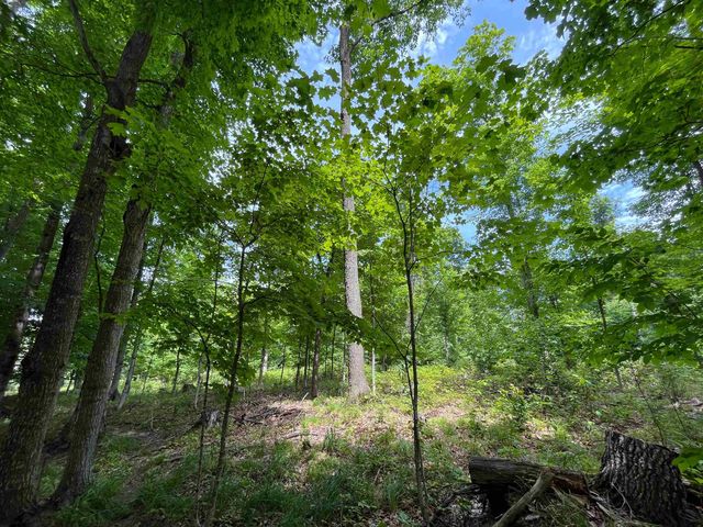 E Fouch Road, Traverse City, MI 49684