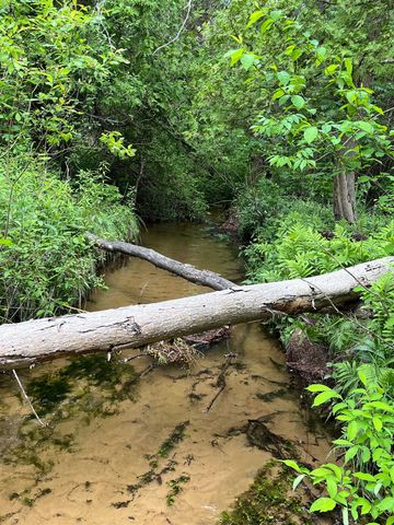 E Fouch Road, Traverse City, MI 49684