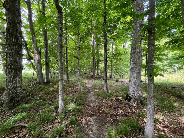 E Fouch Road, Traverse City, MI 49684