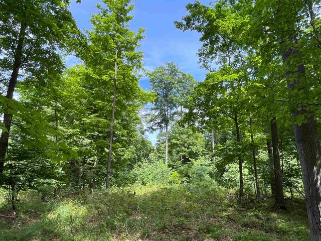 E Fouch Road, Traverse City, MI 49684