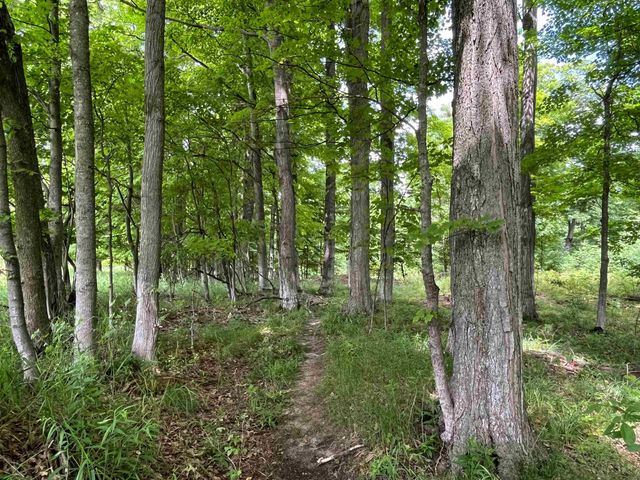 E Fouch Road, Traverse City, MI 49684