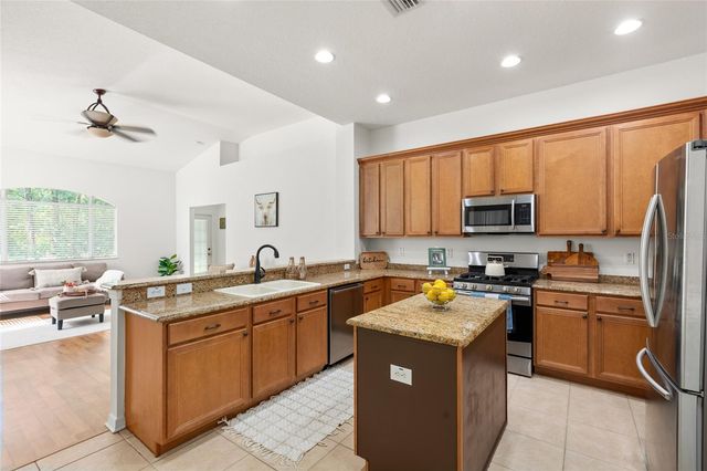 16132 IVY LAKE DRIVE, Odessa, FL 33556
