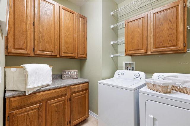 16132 IVY LAKE DRIVE, Odessa, FL 33556