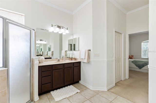 16132 IVY LAKE DRIVE, Odessa, FL 33556