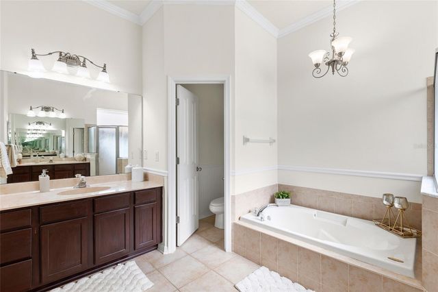 16132 IVY LAKE DRIVE, Odessa, FL 33556
