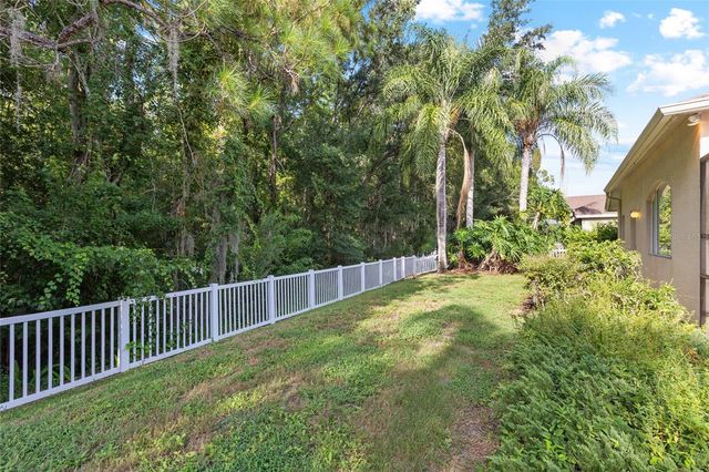 16132 IVY LAKE DRIVE, Odessa, FL 33556