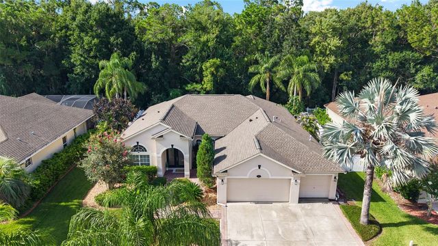 16132 IVY LAKE DRIVE, Odessa, FL 33556