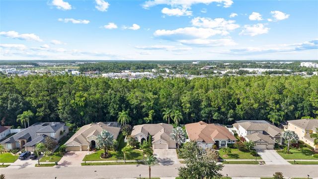 16132 IVY LAKE DRIVE, Odessa, FL 33556
