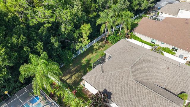 16132 IVY LAKE DRIVE, Odessa, FL 33556