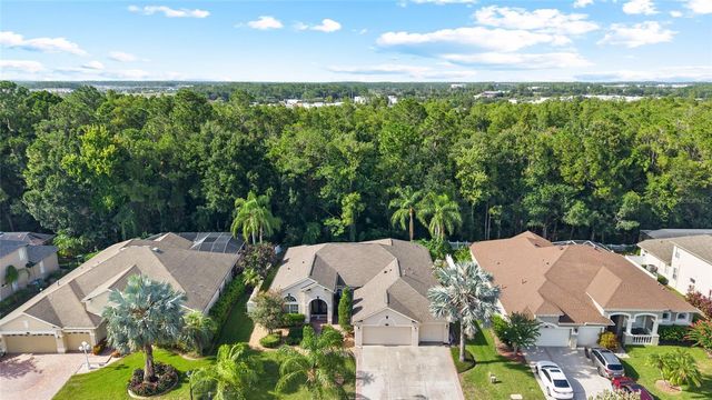 16132 IVY LAKE DRIVE, Odessa, FL 33556