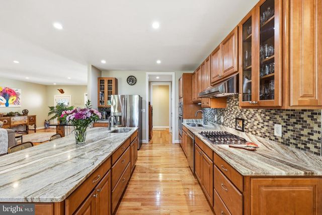13855 PARIS BREEZE PL, Hillsboro, VA 20132