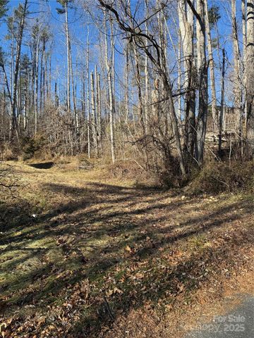 TBD George McKinney Circle, Spruce Pine, NC 28777