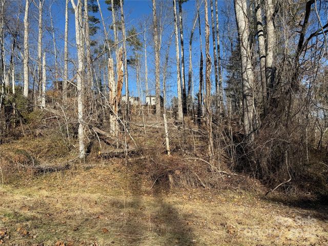 TBD George McKinney Circle, Spruce Pine, NC 28777