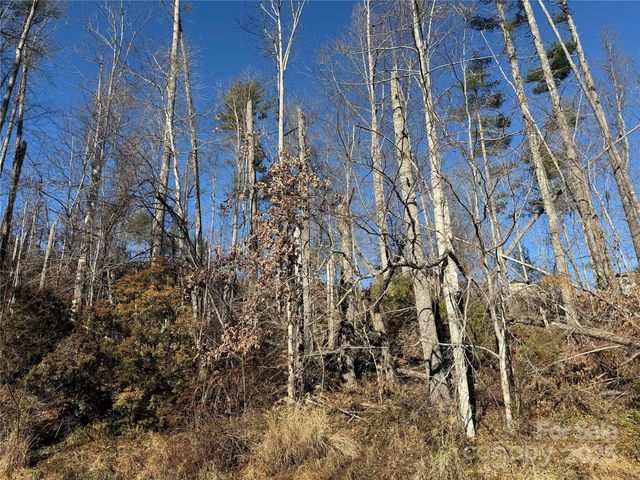 TBD George McKinney Circle, Spruce Pine, NC 28777