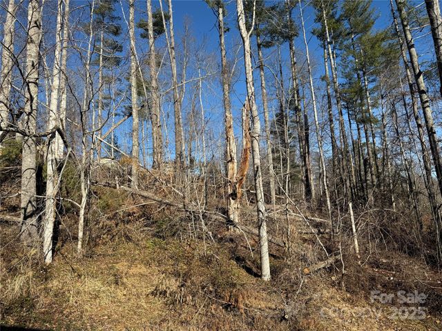 TBD George McKinney Circle, Spruce Pine, NC 28777