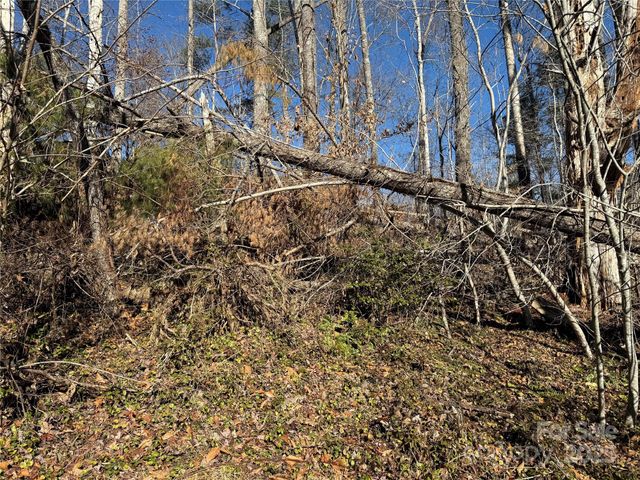 TBD George McKinney Circle, Spruce Pine, NC 28777