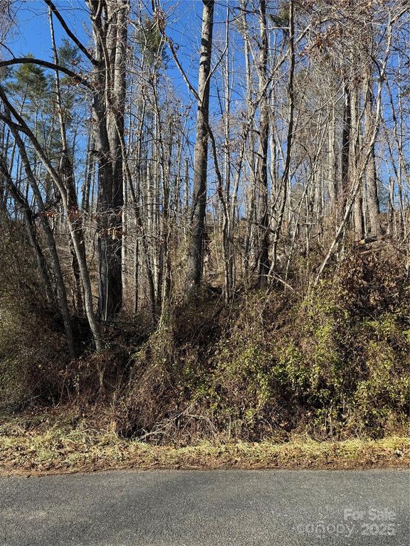 TBD George McKinney Circle, Spruce Pine, NC 28777