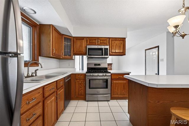 313 Gum Tree Drive, St Charles, MO 63301