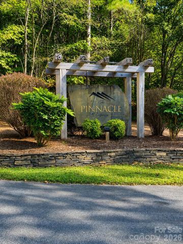 109 Spring Hollow, Mill Spring, NC 28756