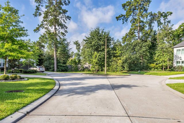 16 Clearview Terrace Place, The Woodlands, TX 77375