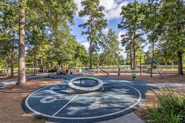 16 Clearview Terrace Place, The Woodlands, TX 77375