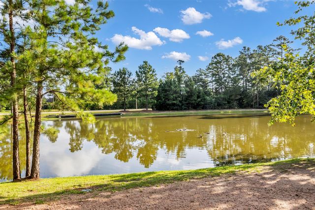 16 Clearview Terrace Place, The Woodlands, TX 77375