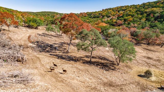 225 Arrowhead Lane, Pipe Creek, TX 78063