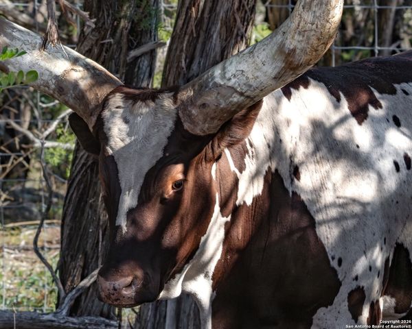 225 Arrowhead Lane, Pipe Creek, TX 78063