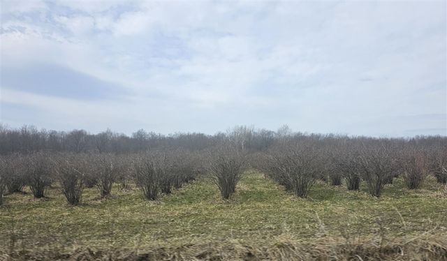 466 27th Street, Allegan, MI 49010