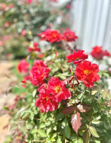 20919 Karen Switch Road, Magnolia, TX 77354