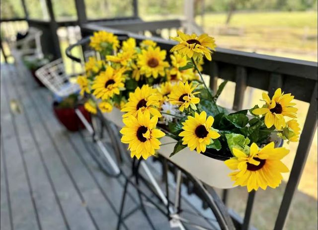 20919 Karen Switch Road, Magnolia, TX 77354