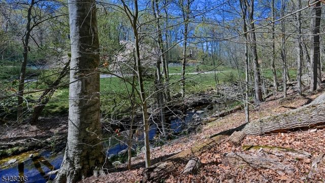 227 Emily Dr, Park Ridge Boro, NJ 07656