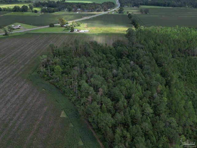 000 N Hwy 87, Jay, FL 32565