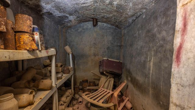 509 Old Cane Bluff Road, Alton, MO 65606