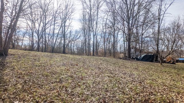 509 Old Cane Bluff Road, Alton, MO 65606