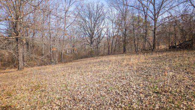 509 Old Cane Bluff Road, Alton, MO 65606