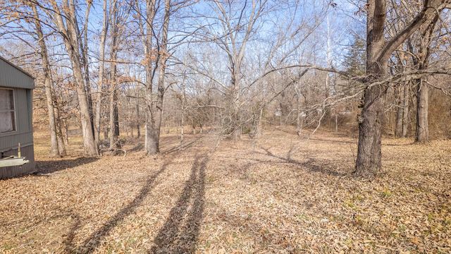 509 Old Cane Bluff Road, Alton, MO 65606