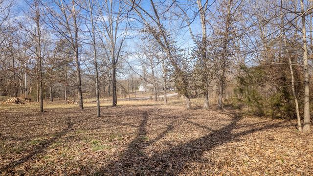 509 Old Cane Bluff Road, Alton, MO 65606