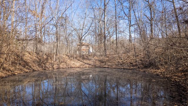 509 Old Cane Bluff Road, Alton, MO 65606