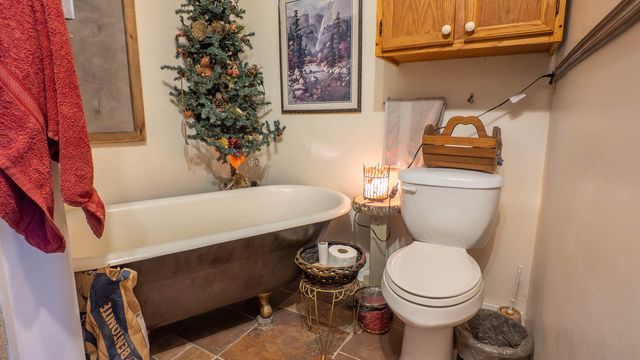 509 Old Cane Bluff Road, Alton, MO 65606