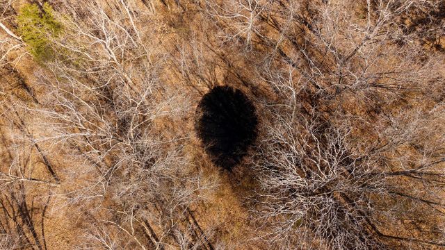 509 Old Cane Bluff Road, Alton, MO 65606