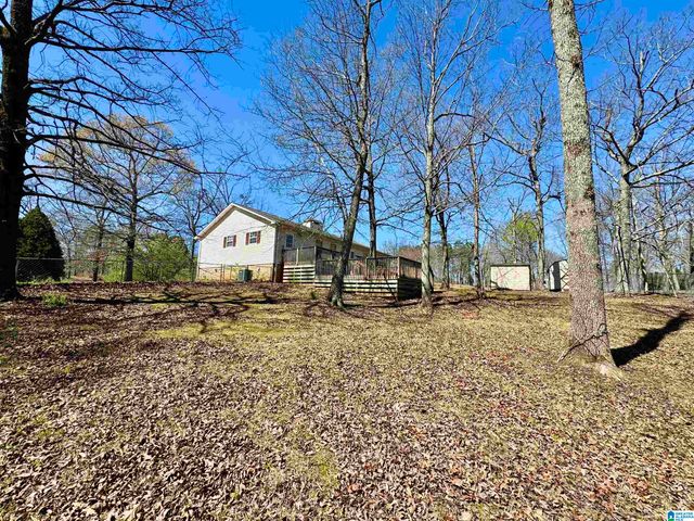 1376 SCENIC TRAIL, Warrior, AL 35180