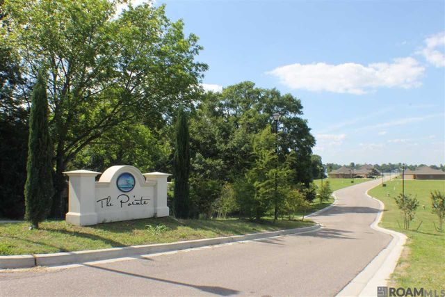 7812 Cutt Pointe Dr, Ventress, LA 70783