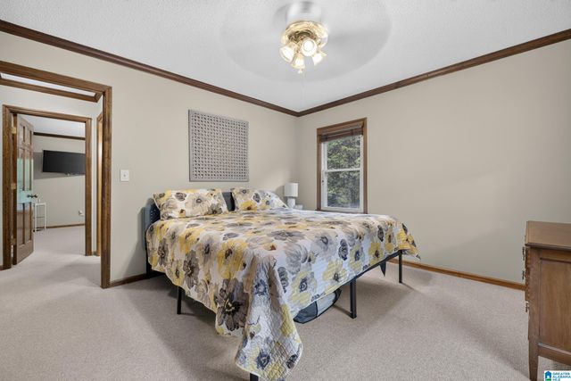 574 TALLADEGA CREEK ROAD, Talladega, AL 35160
