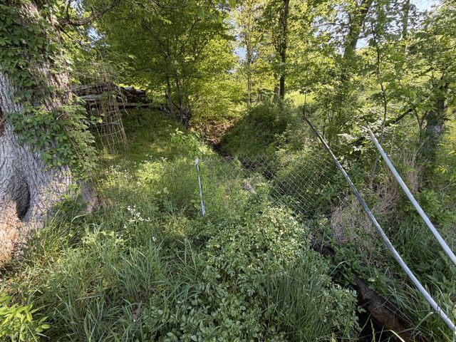 5170 Steam Mill Hollow Road Tract 2, Williamsport, TN 38487