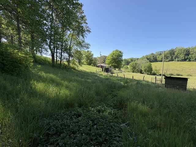 5170 Steam Mill Hollow Road Tract 2, Williamsport, TN 38487