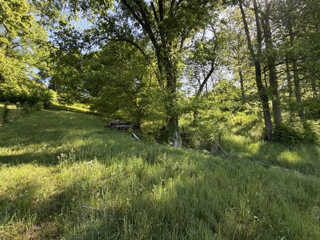5170 Steam Mill Hollow Road Tract 2, Williamsport, TN 38487