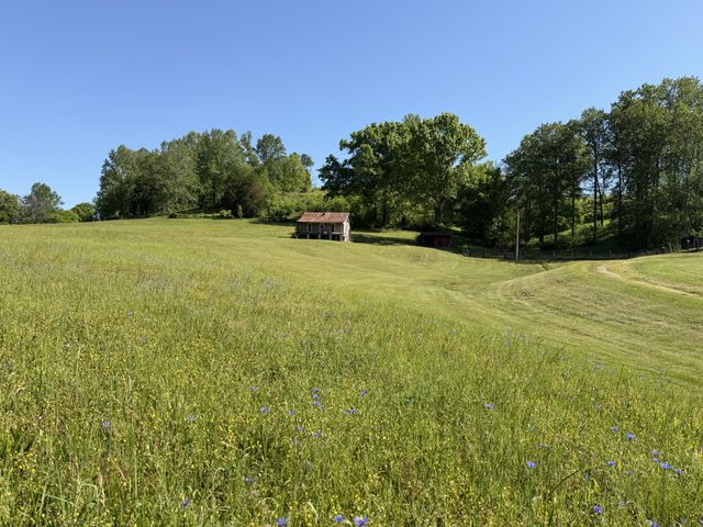 5170 Steam Mill Hollow Road Tract 2, Williamsport, TN 38487